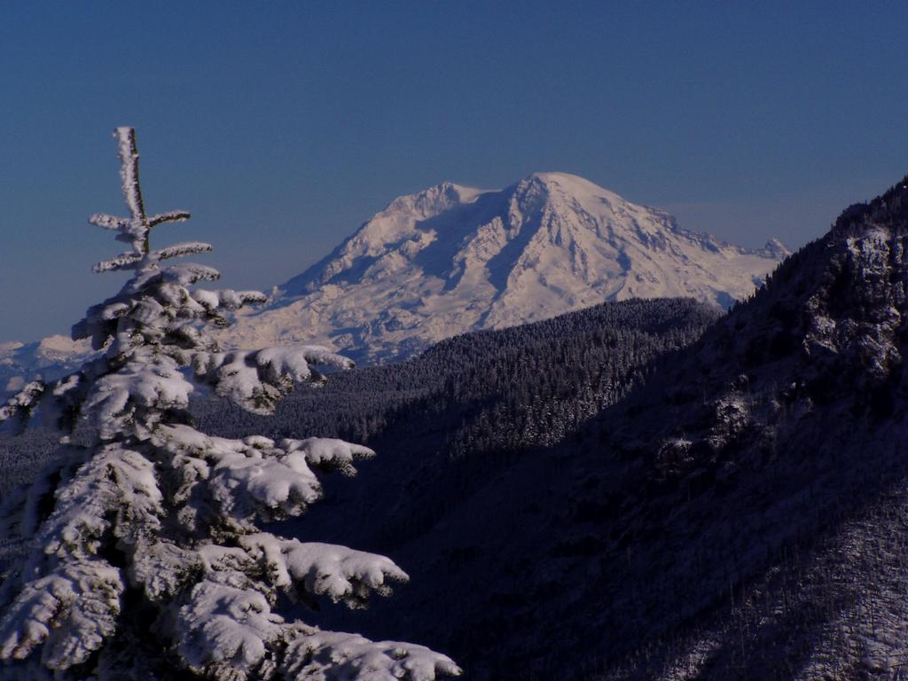 Mt. St. Helens in Winter from Eco Park Resort in Toutle, WA 98649